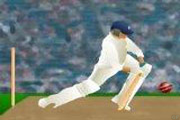 Igra Kriketa Igrica Sportska Indija